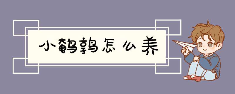 小鹌鹑怎么养