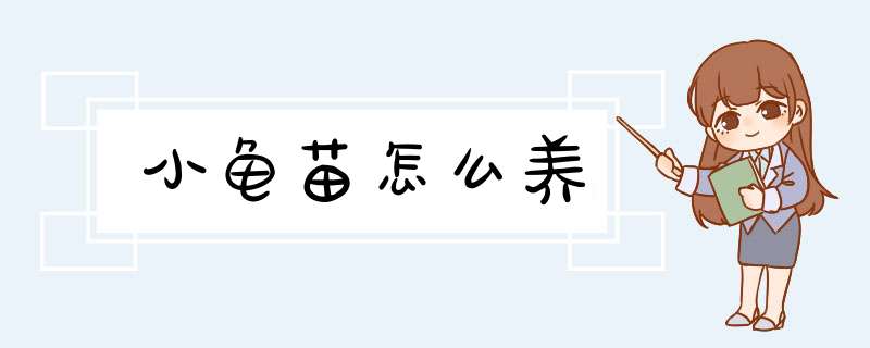 小龟苗怎么养
