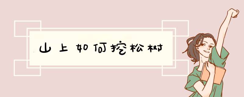 山上如何挖松树