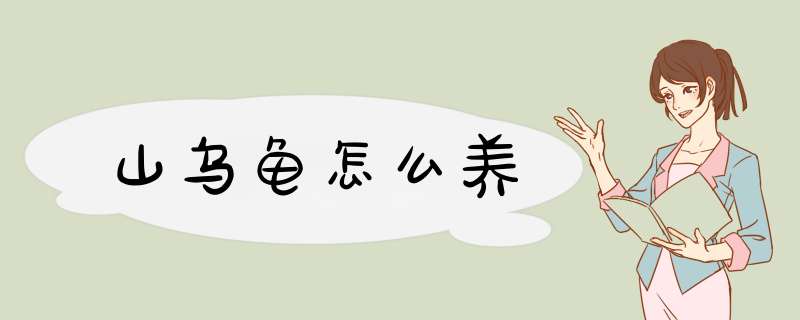 山乌龟怎么养
