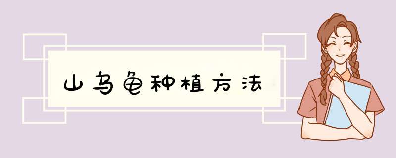 山乌龟种植方法