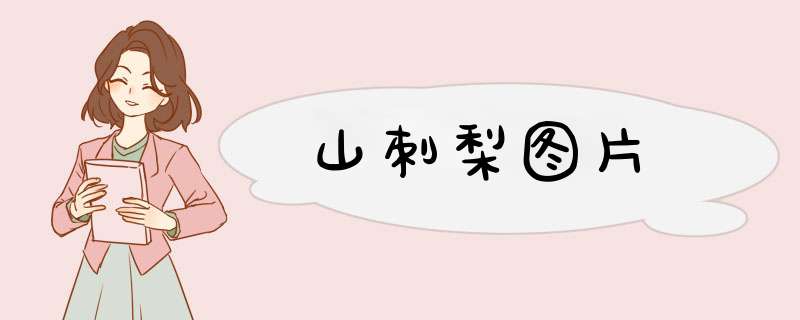 山刺梨图片