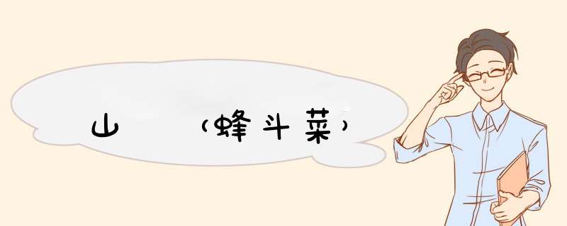 山蕗（蜂斗菜）