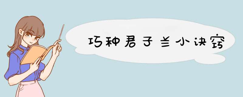 巧种君子兰小诀窍