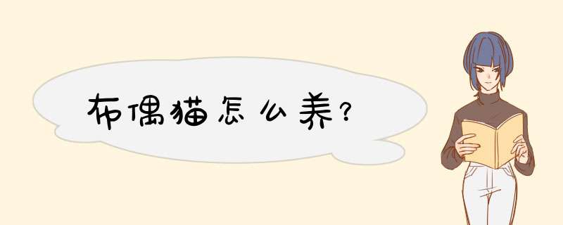 布偶猫怎么养？