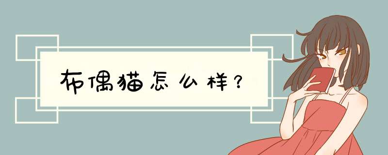 布偶猫怎么样？