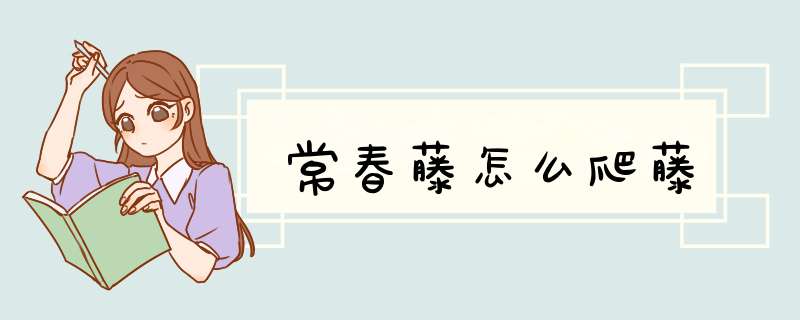常春藤怎么爬藤