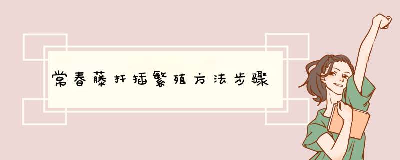 常春藤扦插繁殖方法步骤