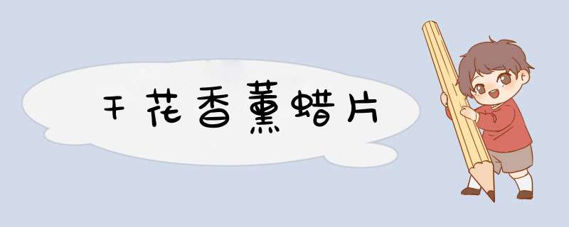干花香薰蜡片