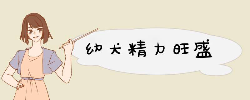 幼犬精力旺盛