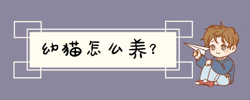 幼猫怎么养？