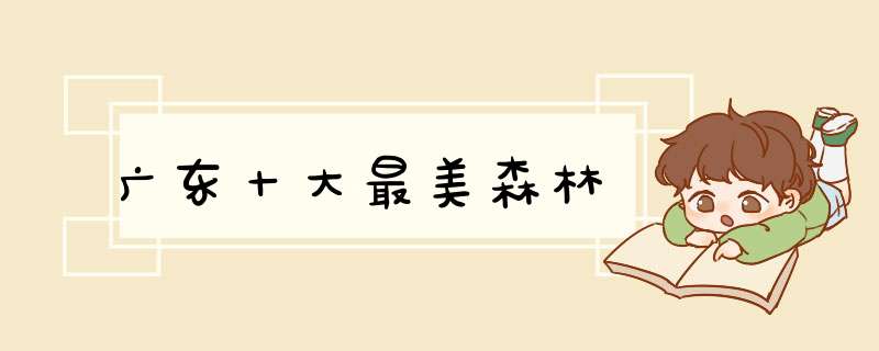 广东十大最美森林