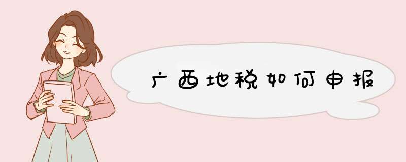 广西地税如何申报