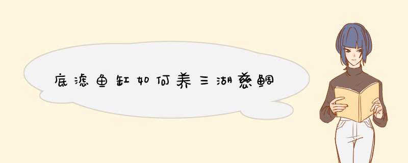底滤鱼缸如何养三湖慈鲷