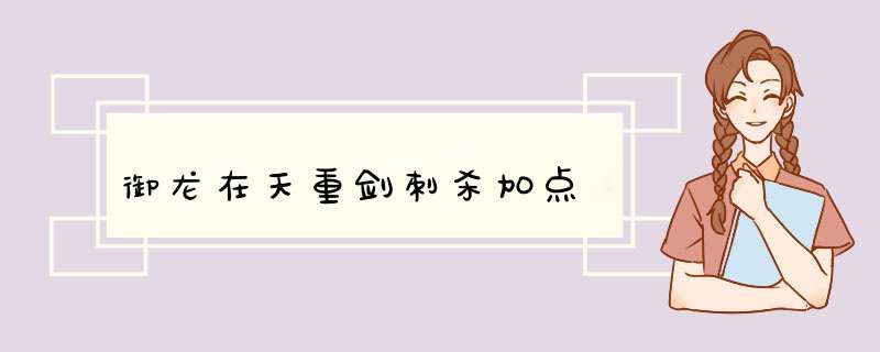 御龙在天重剑刺杀加点