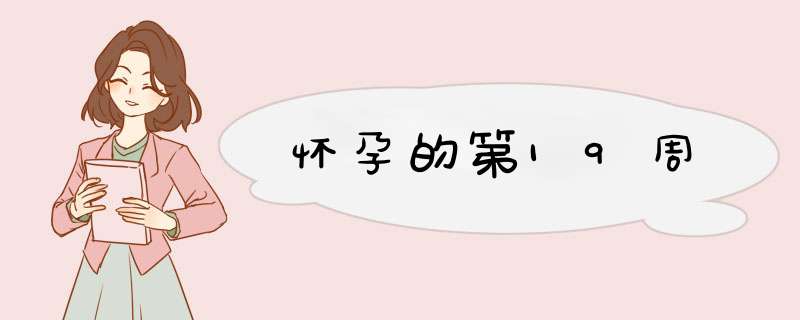 怀孕的第19周
