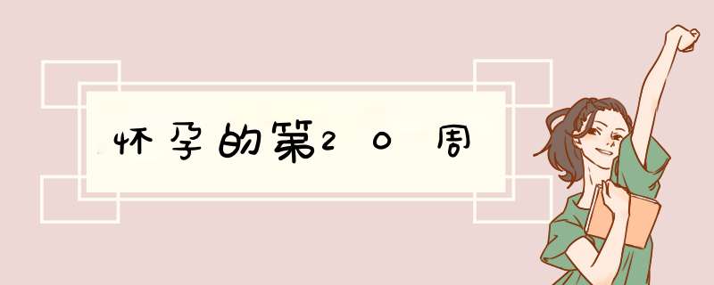 怀孕的第20周