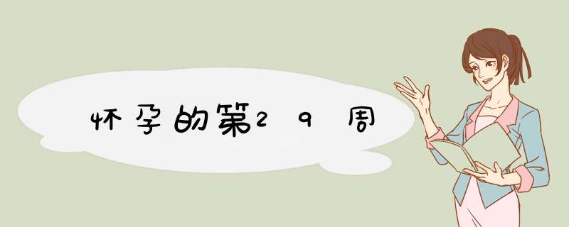 怀孕的第29周
