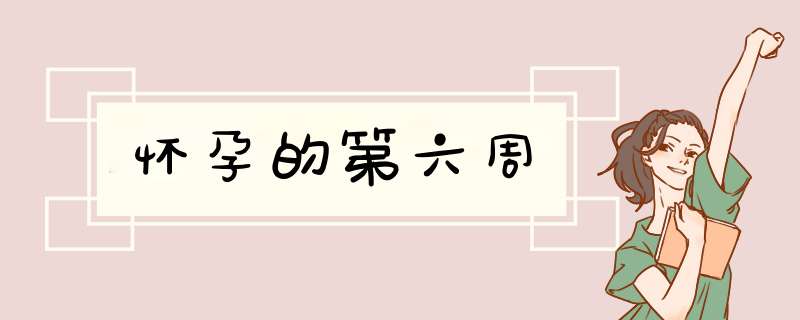 怀孕的第六周