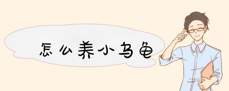 怎么养小乌龟