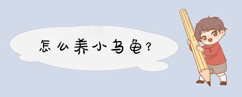 怎么养小乌龟？