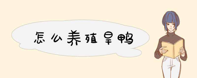 怎么养殖旱鸭