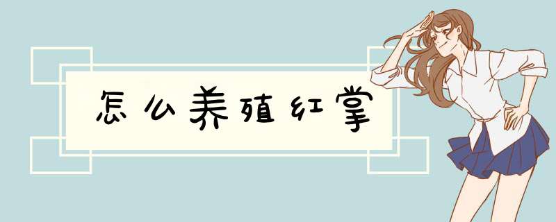 怎么养殖红掌
