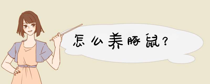 怎么养豚鼠？