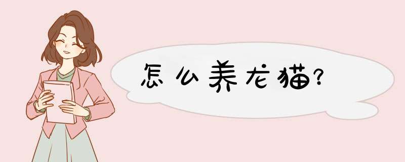 怎么养龙猫？