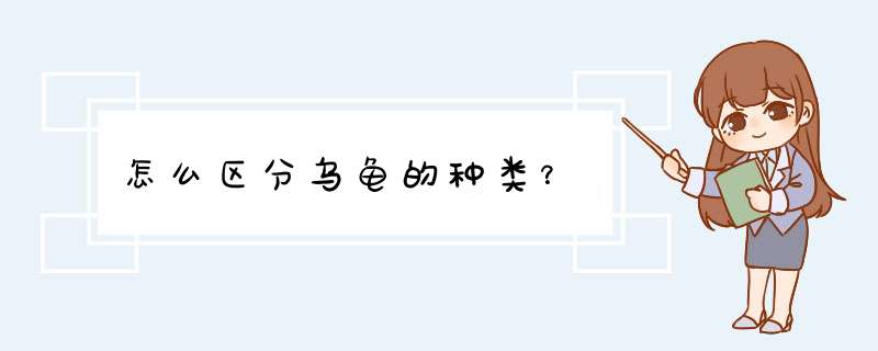 怎么区分乌龟的种类？