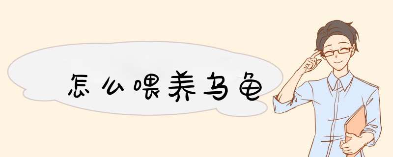 怎么喂养乌龟
