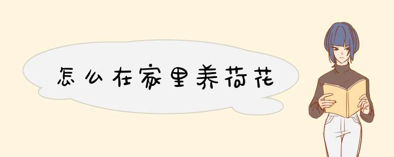 怎么在家里养荷花