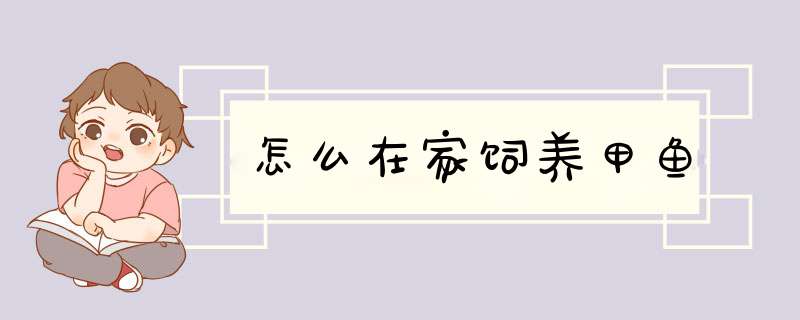 怎么在家饲养甲鱼