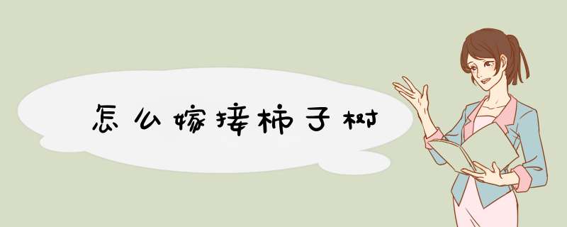 怎么嫁接柿子树