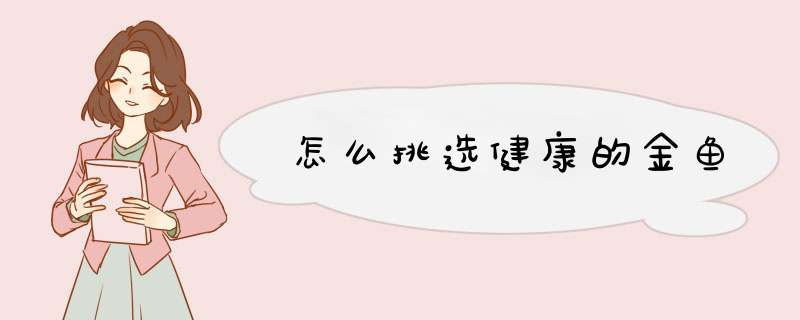 怎么挑选健康的金鱼