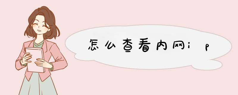 怎么查看内网ip