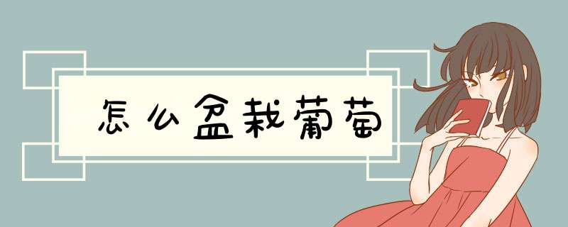 怎么盆栽葡萄