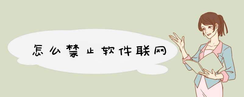 怎么禁止软件联网