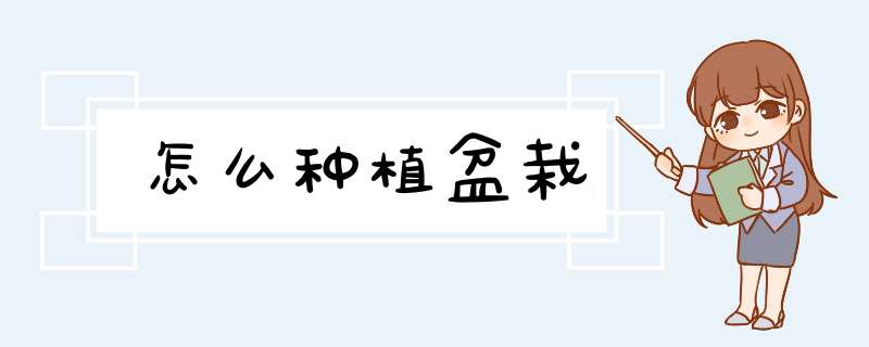 怎么种植盆栽
