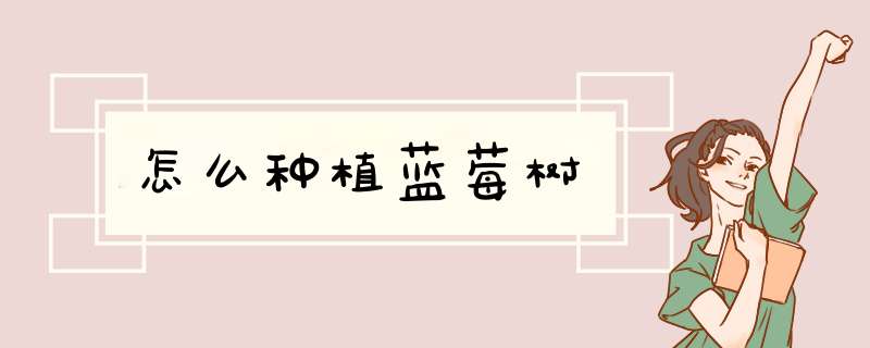 怎么种植蓝莓树