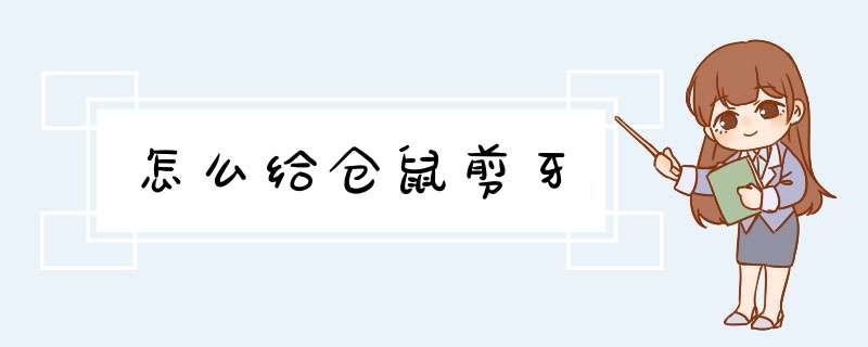 怎么给仓鼠剪牙