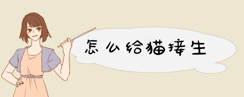 怎么给猫接生