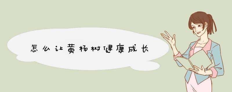 怎么让黄杨树健康成长