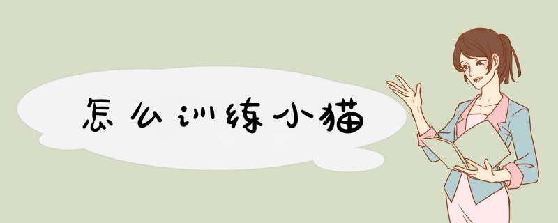怎么训练小猫
