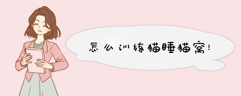 怎么训练猫睡猫窝！