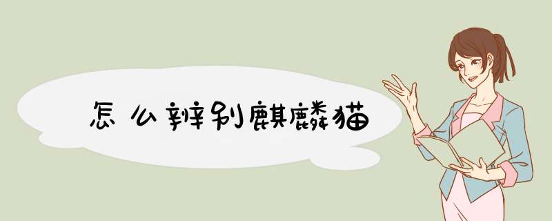 怎么辨别麒麟猫