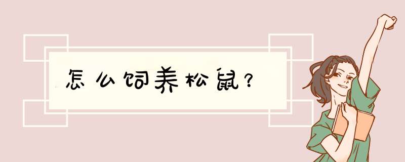 怎么饲养松鼠？