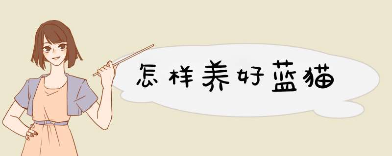 怎样养好蓝猫