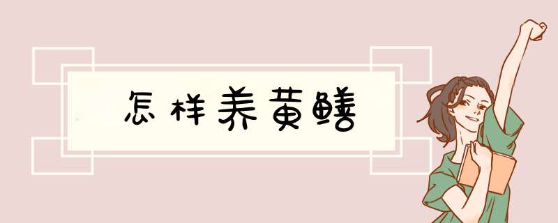 怎样养黄鳝