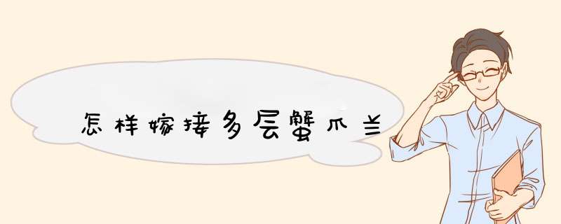 怎样嫁接多层蟹爪兰
